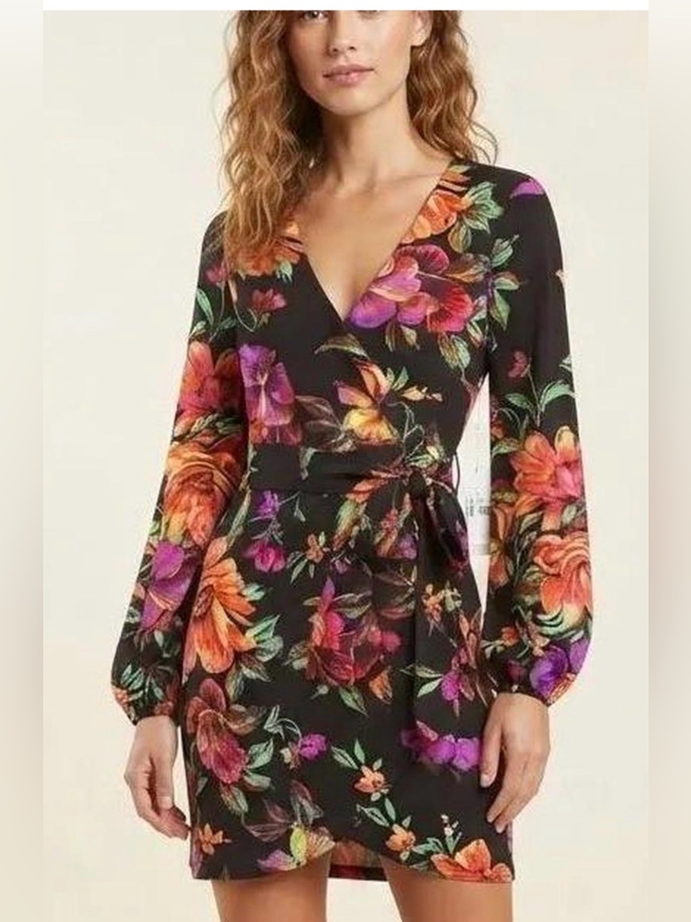 NWT Siena Floral Surplice V-Neck Wrap Dress Size 2
